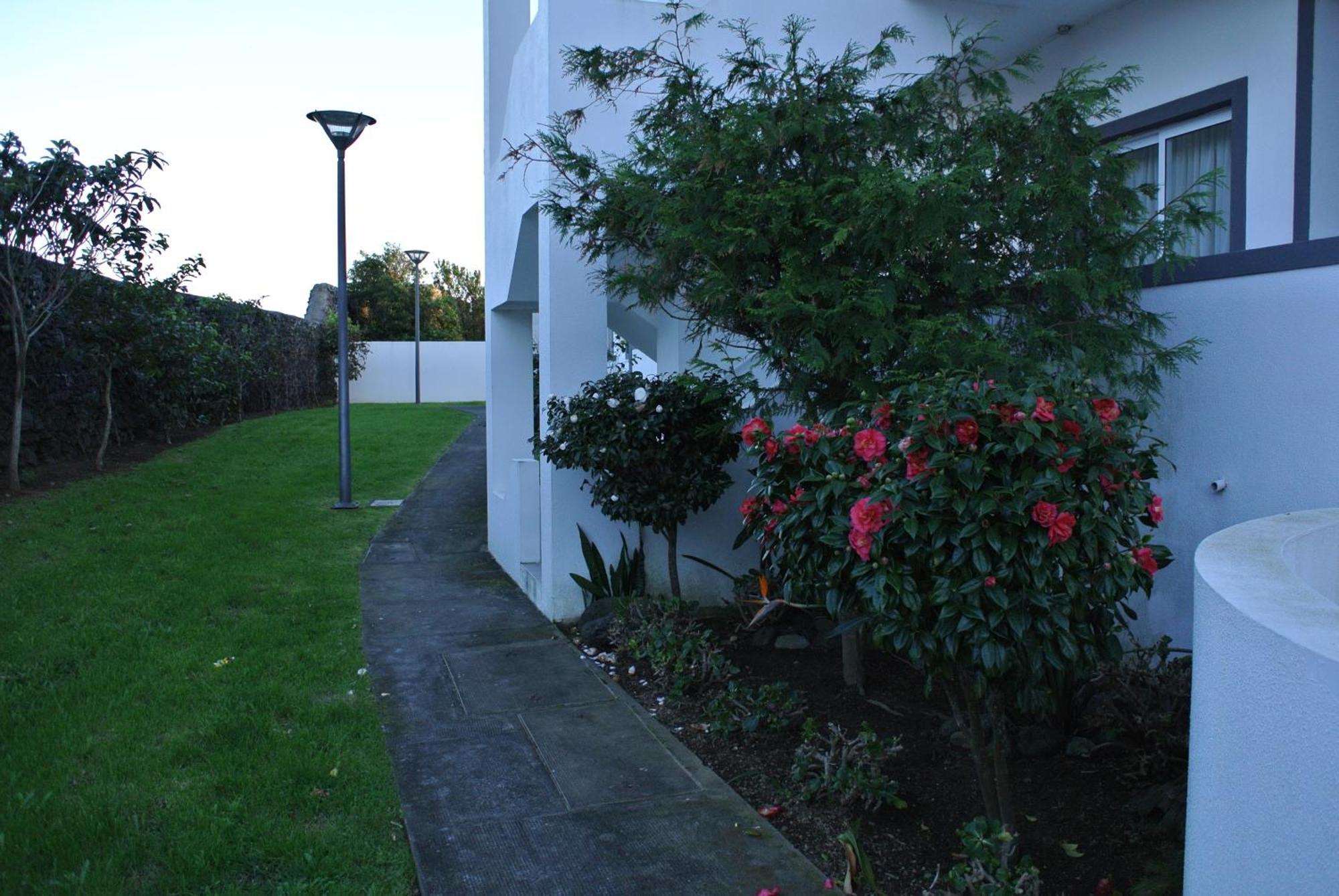 Casa Simba , Where The Fun Begins Ponta Delgada - Açores Exterior foto